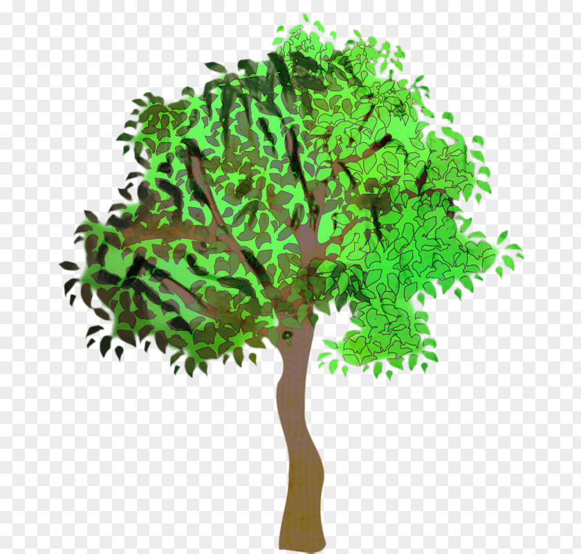 Flower Elm Oak Tree Leaf PNG