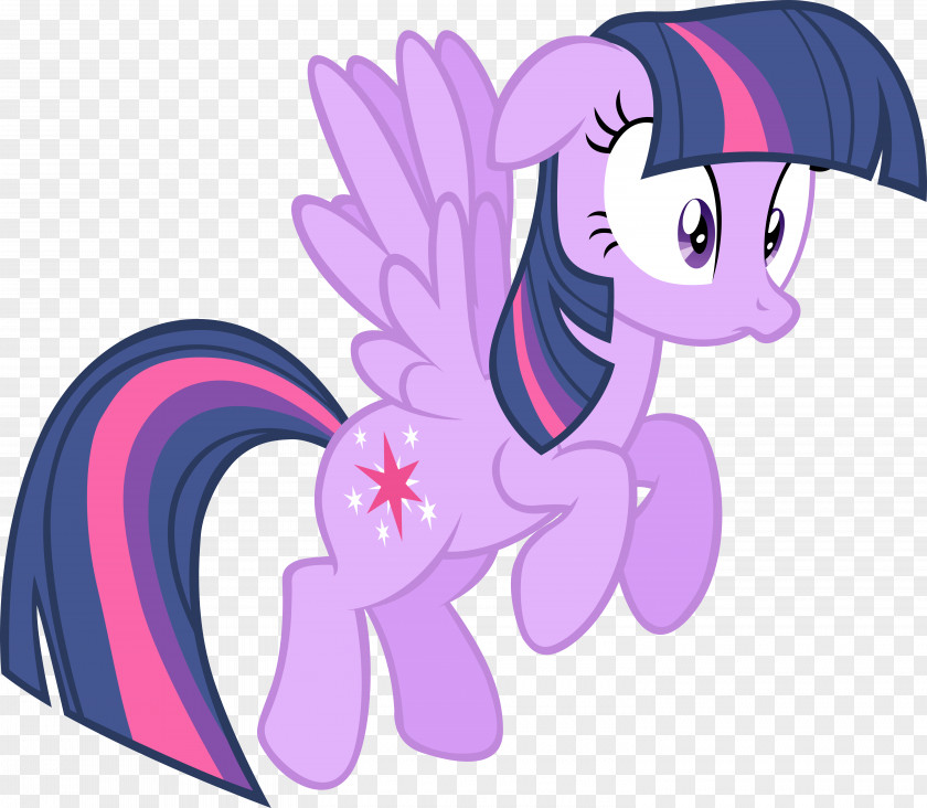 Sparkle Vector Twilight Rainbow Dash Pinkie Pie The Saga PNG