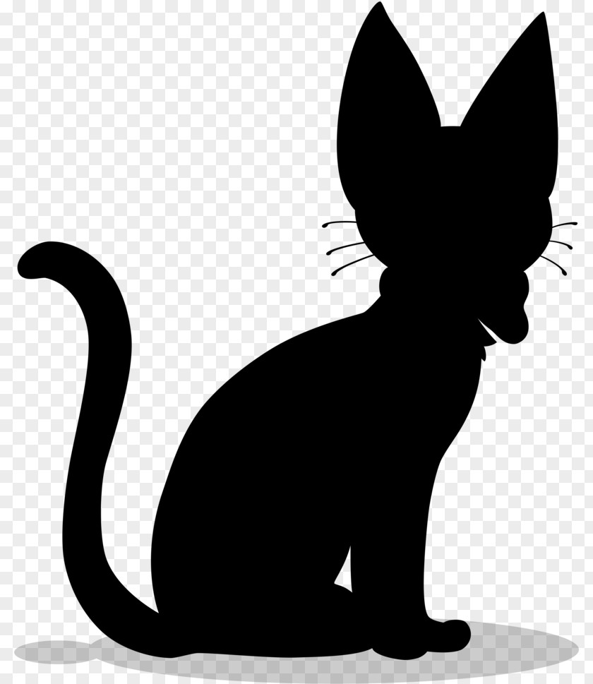 Whiskers Black Cat Dog Mammal PNG