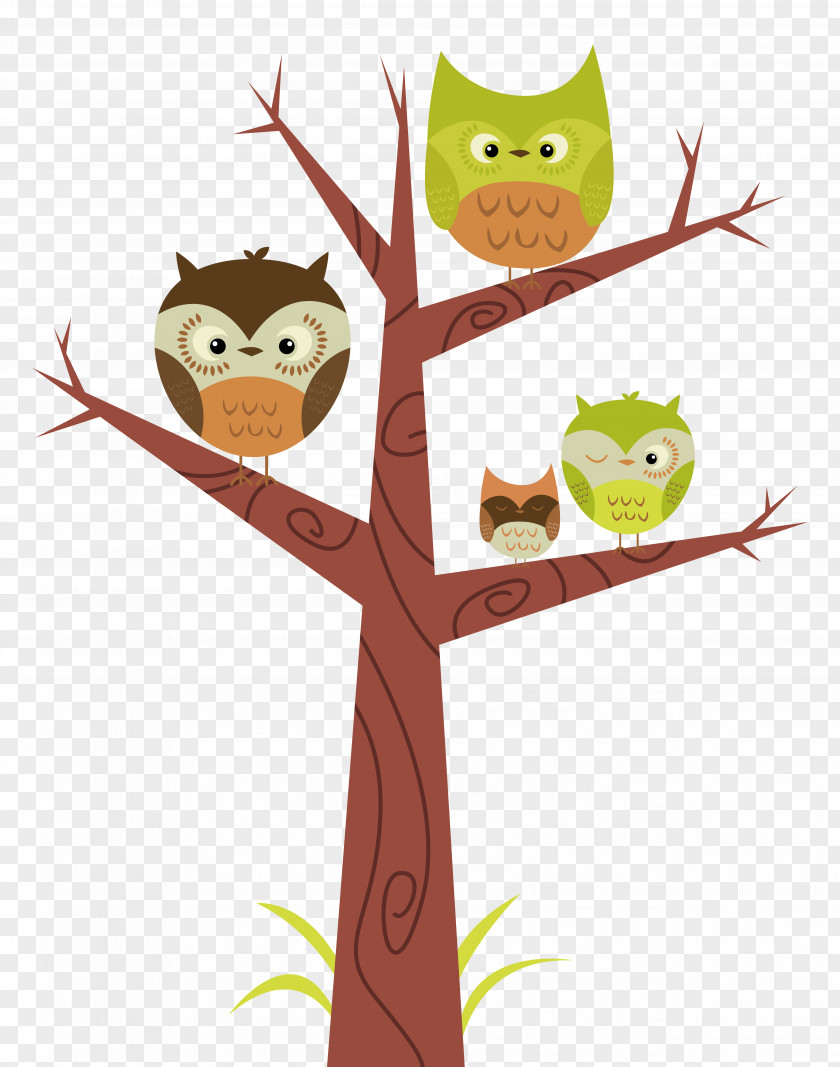 Woodland Owl Art Clip PNG