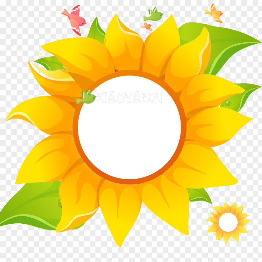 Andorinha Vector Image Cartoon Eagleview Town Center Common Sunflower Illustration PNG