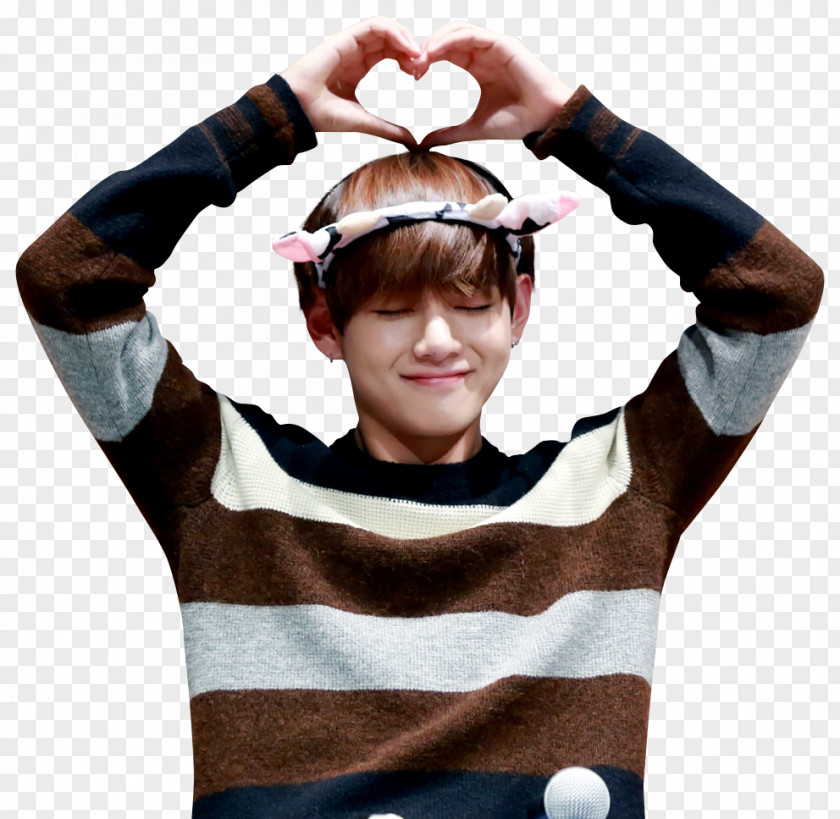 Bts Kim Taehyung BTS Wings PNG