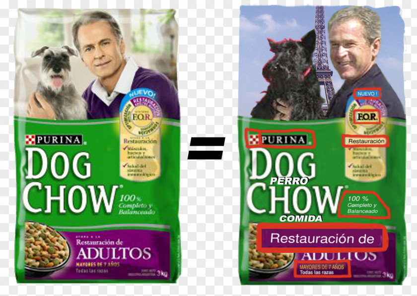 Chow Dog Breed Food Advertising PNG