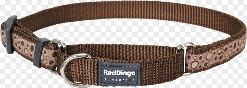 Dog Collar Dingo Leash PNG