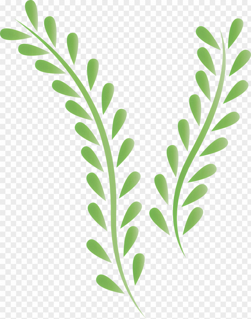 Floral Design PNG