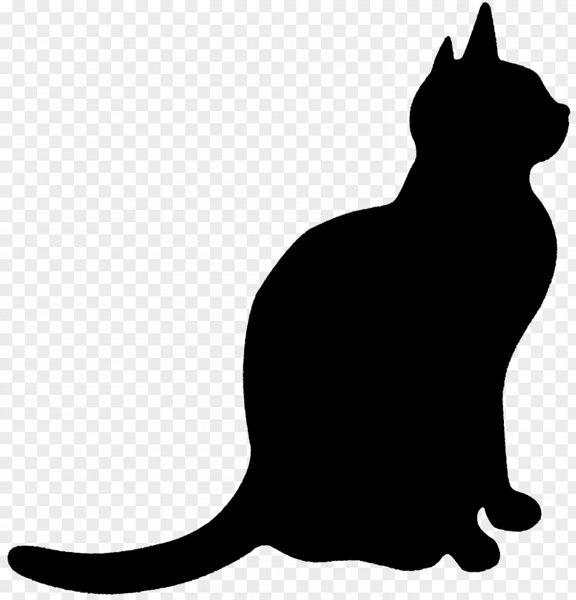 Kitten Black Cat Whiskers Domestic Short-haired Silhouette PNG