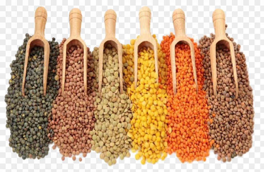 Red Beans India Dal Legume Black Gram Grain PNG