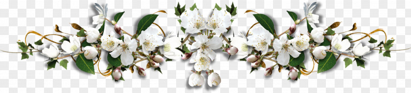 White Flower Pakistan PNG