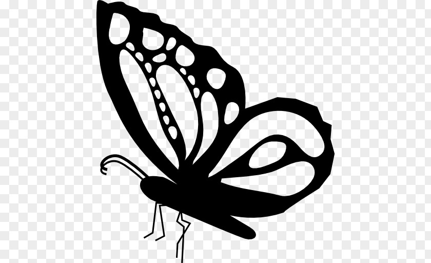 Butterfly Monarch Insect Drawing Clip Art PNG