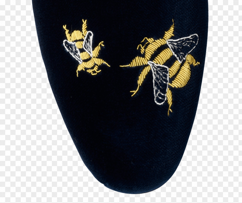 Insect Shoe PNG