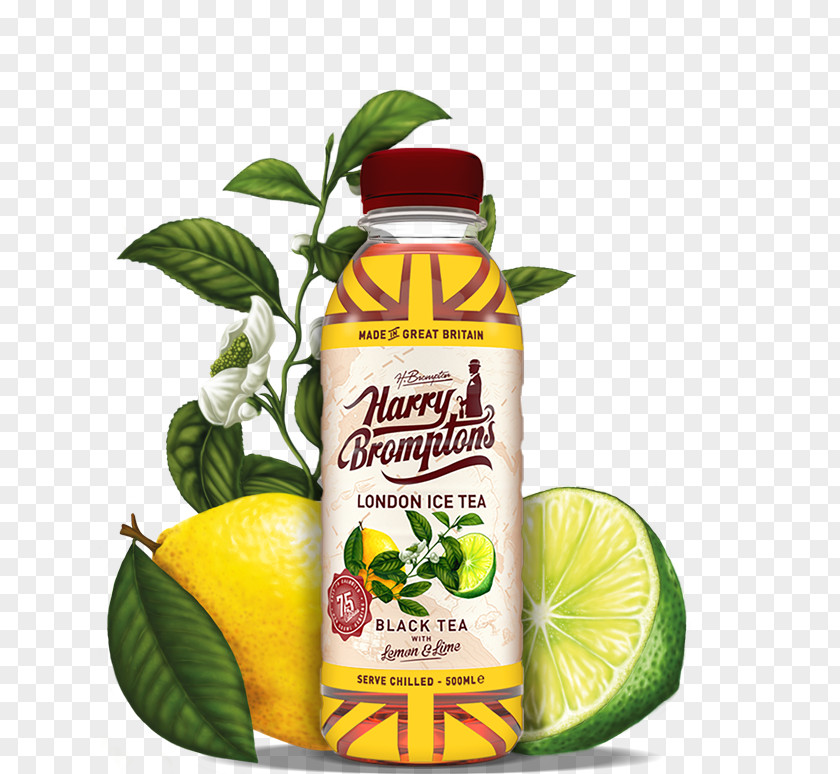 Lemon Lemon-lime Drink Iced Tea Non-alcoholic PNG