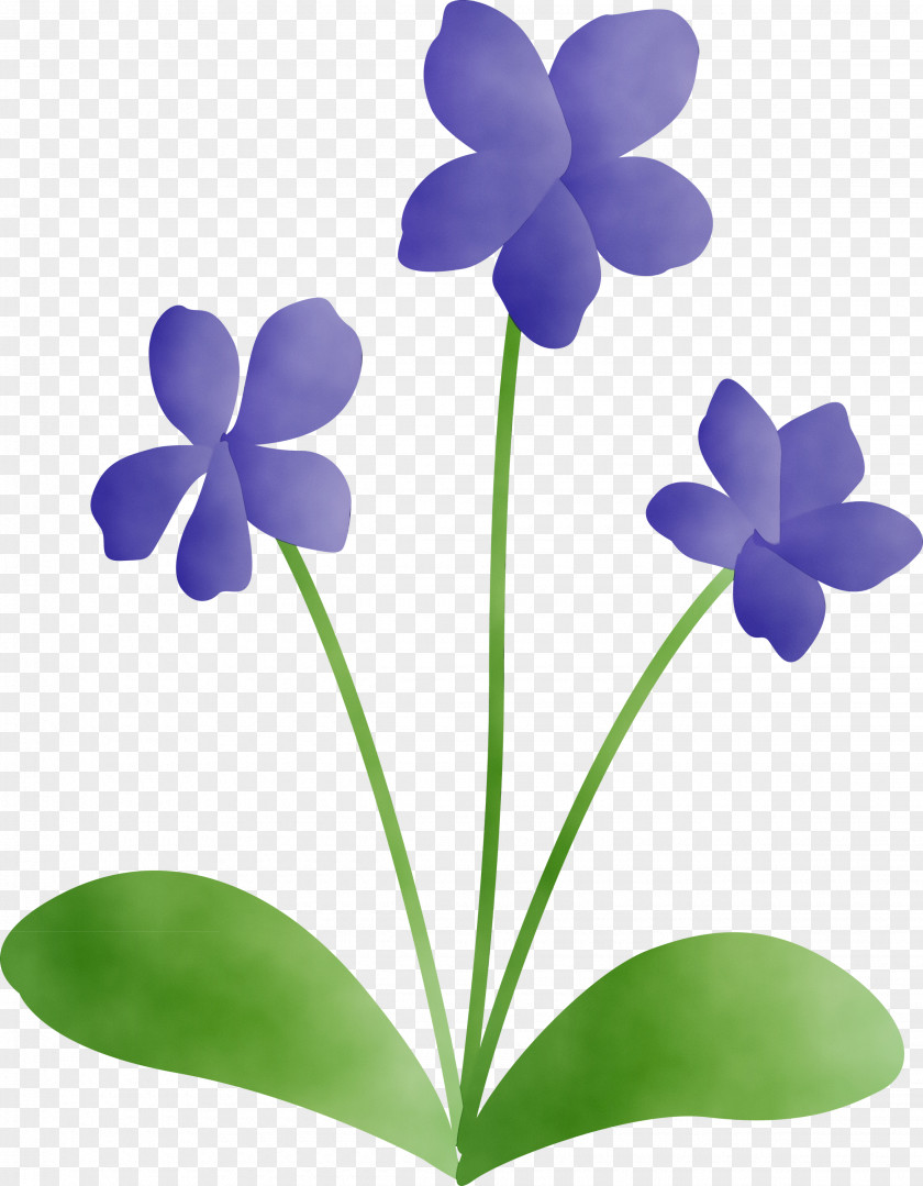 Plant Stem Herbaceous Flowerpot Lilac Petal PNG
