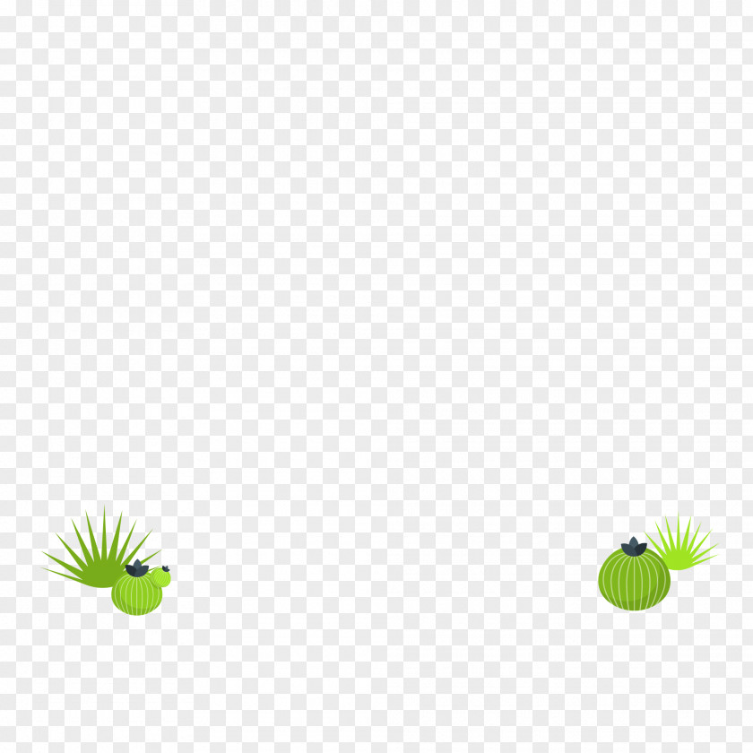 Plant Stem Leaf Grasses Petal Green PNG