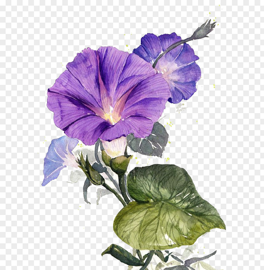 Purple Flowers PNG flowers clipart PNG