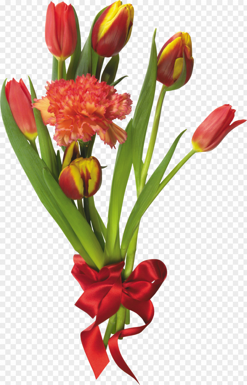 Bouquet Flowers Netherlands Windmill Island Golden Gate Park Windmills Tulip Mania PNG