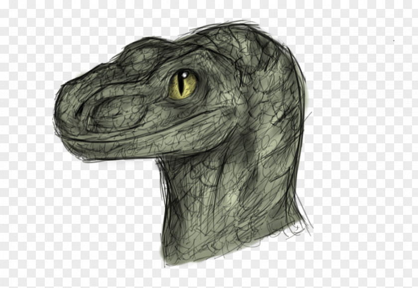Dinosaur Velociraptor Mosasaurus Drawing Jurassic Park PNG