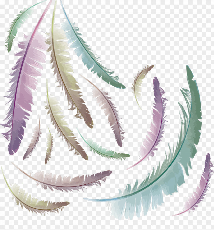 Gradient Fine Feathers Feather Euclidean Vector Computer File PNG