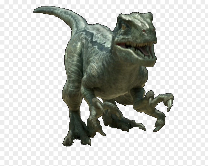 Jurassic World Velociraptor Tyrannosaurus Dinosaur Utahraptor Stegosaurus PNG