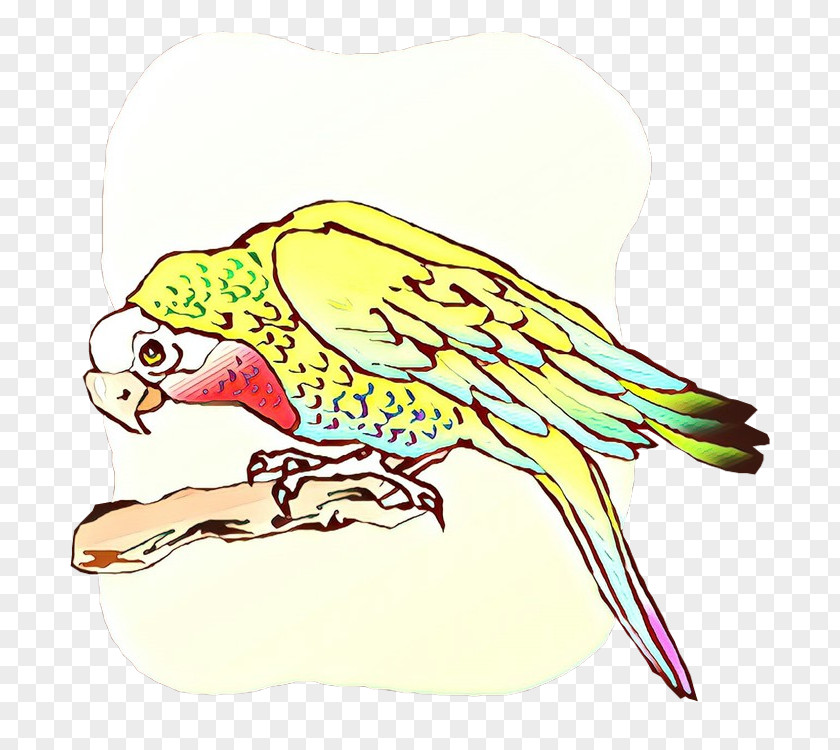 Macaw Clip Art Parakeet Illustration Beak PNG