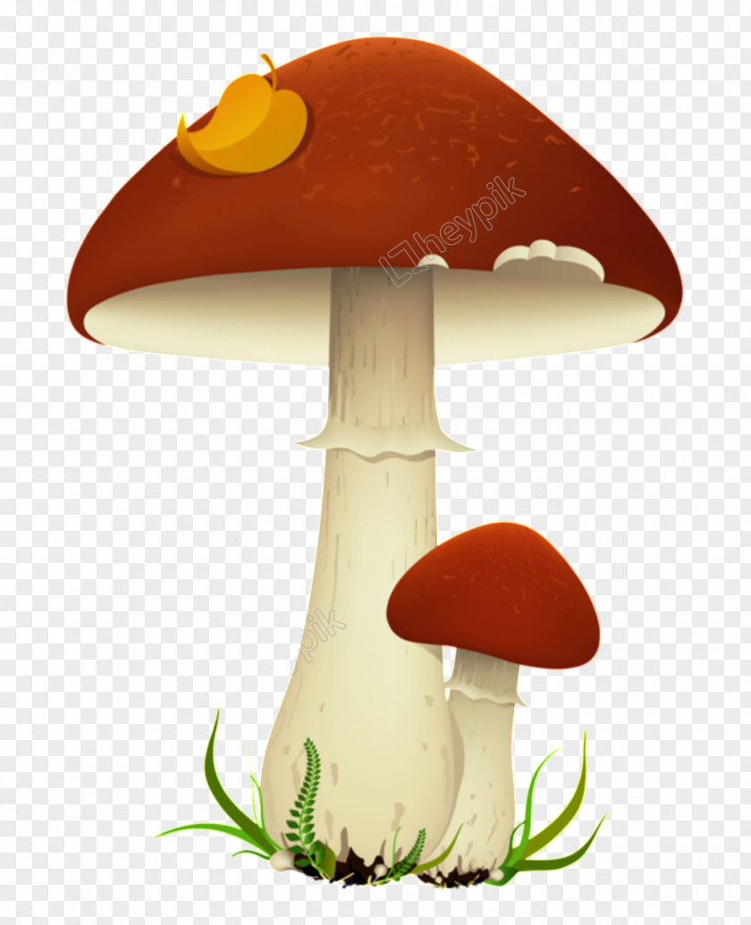 Mushroom Cloud Clip Art Transparency Image PNG