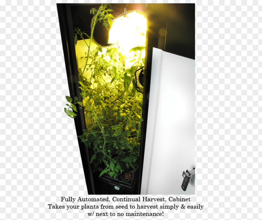 Stealth Grow Box Soil Garden Herb Flowerpot PNG