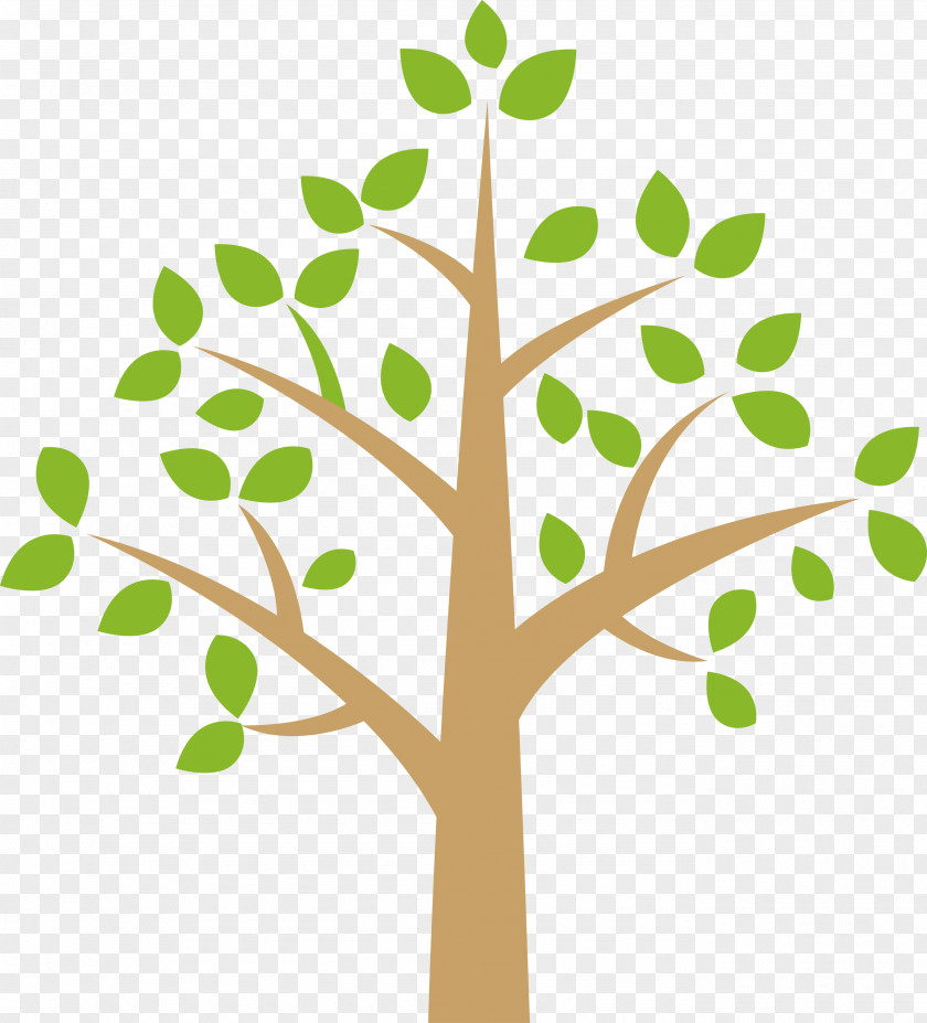 Tree PNG