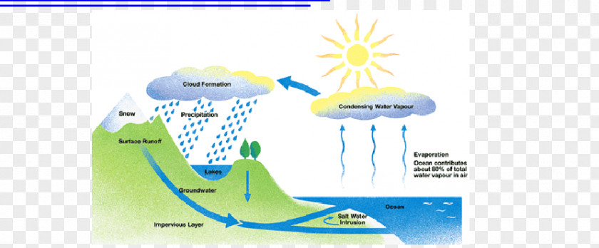Water Cycle Fifth Grade Condensation Process PNG