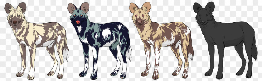 Wild Dog African Antelope Bull Terrier Pit Border Collie PNG