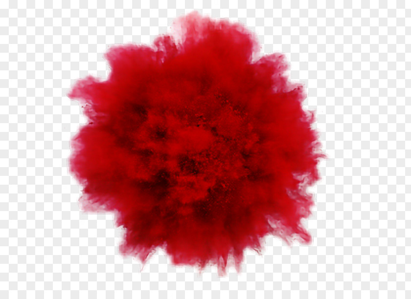 Color Splash Rouge Explosion Powder Photography Photographer PNG