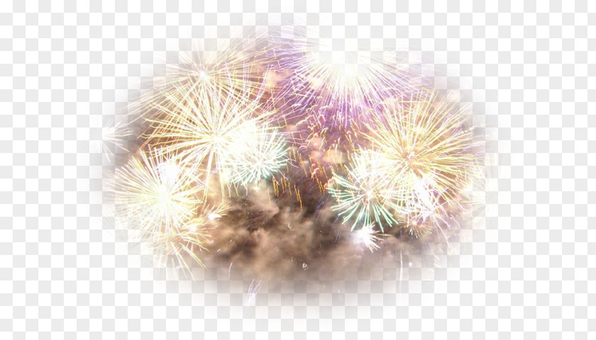 Fireworks Desktop Wallpaper Fond Blanc Image PNG