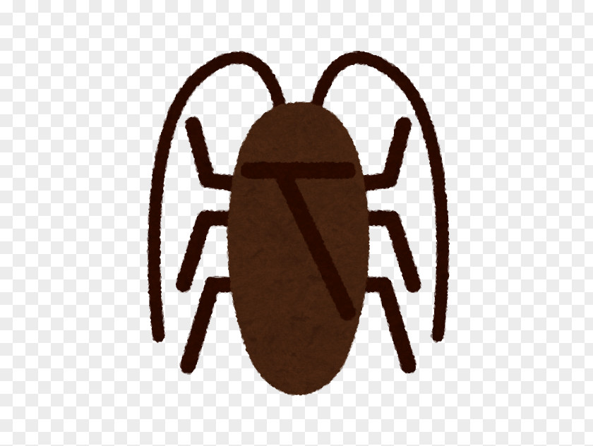 Mosquito Insect Cockroach Termite Ant PNG