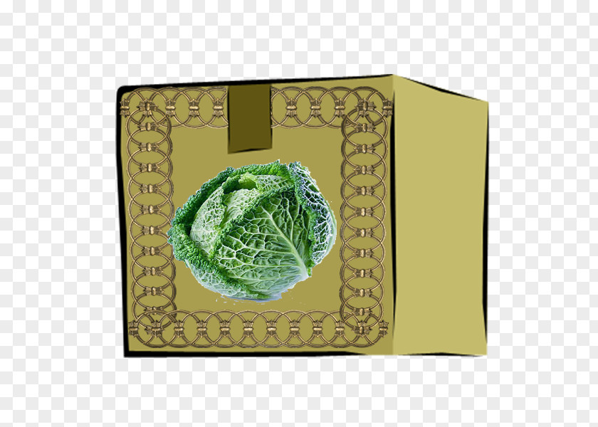 In Kind Green Cabbage Designer Computer File PNG