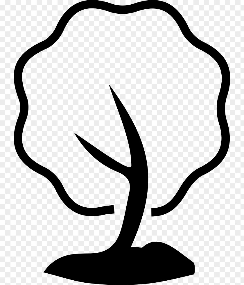 Leaf Ecology Black Tree PNG