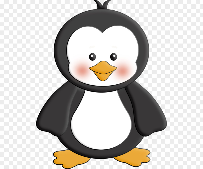 Penguin Little Clip Art Openclipart Cartoon PNG