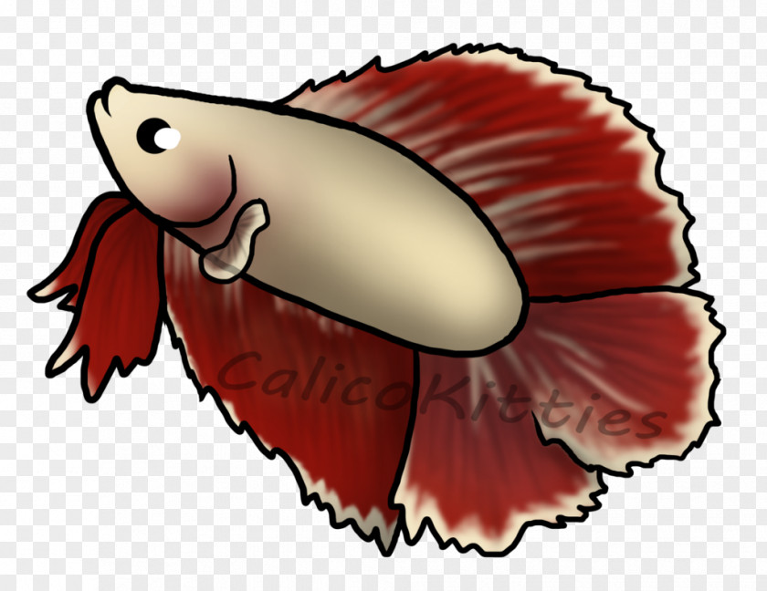 Betta Drawing Cartoon Bugs Bunny Siamese Fighting Fish PNG