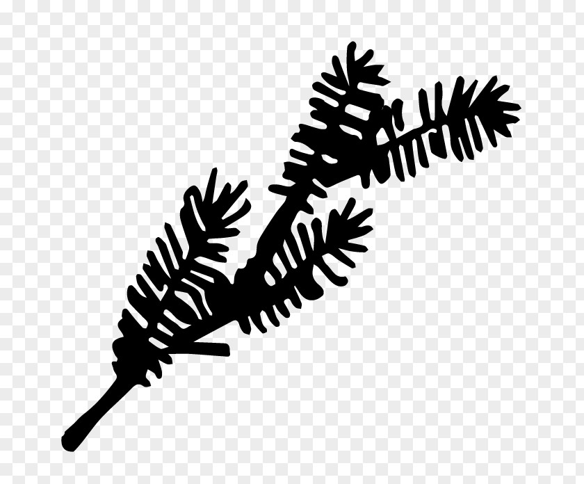 Clip Art Line Leaf Branching PNG