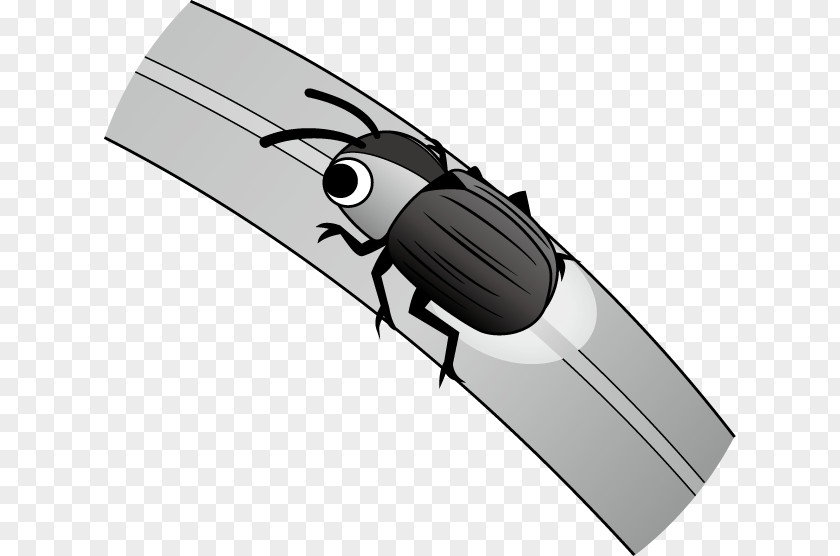Firefly Insect Illustration Image Clip Art PNG