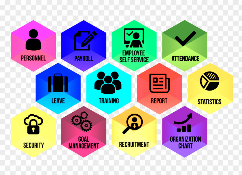 Human Resource Management System Computer Software PNG