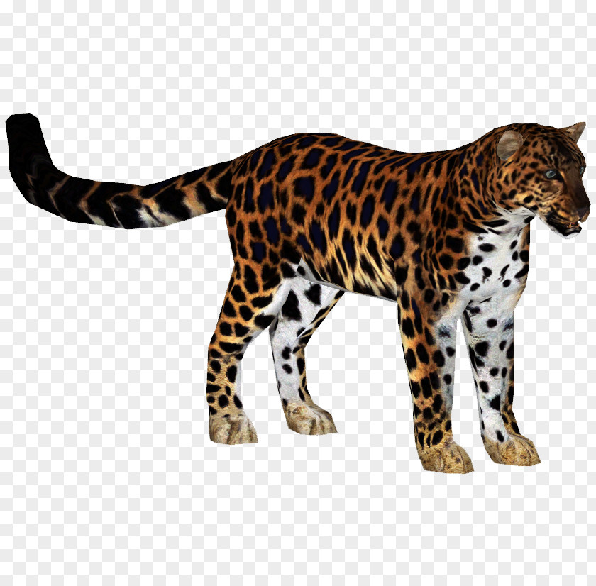 Leopard Zoo Tycoon 2 Jaguar Tiger Amur Felidae PNG