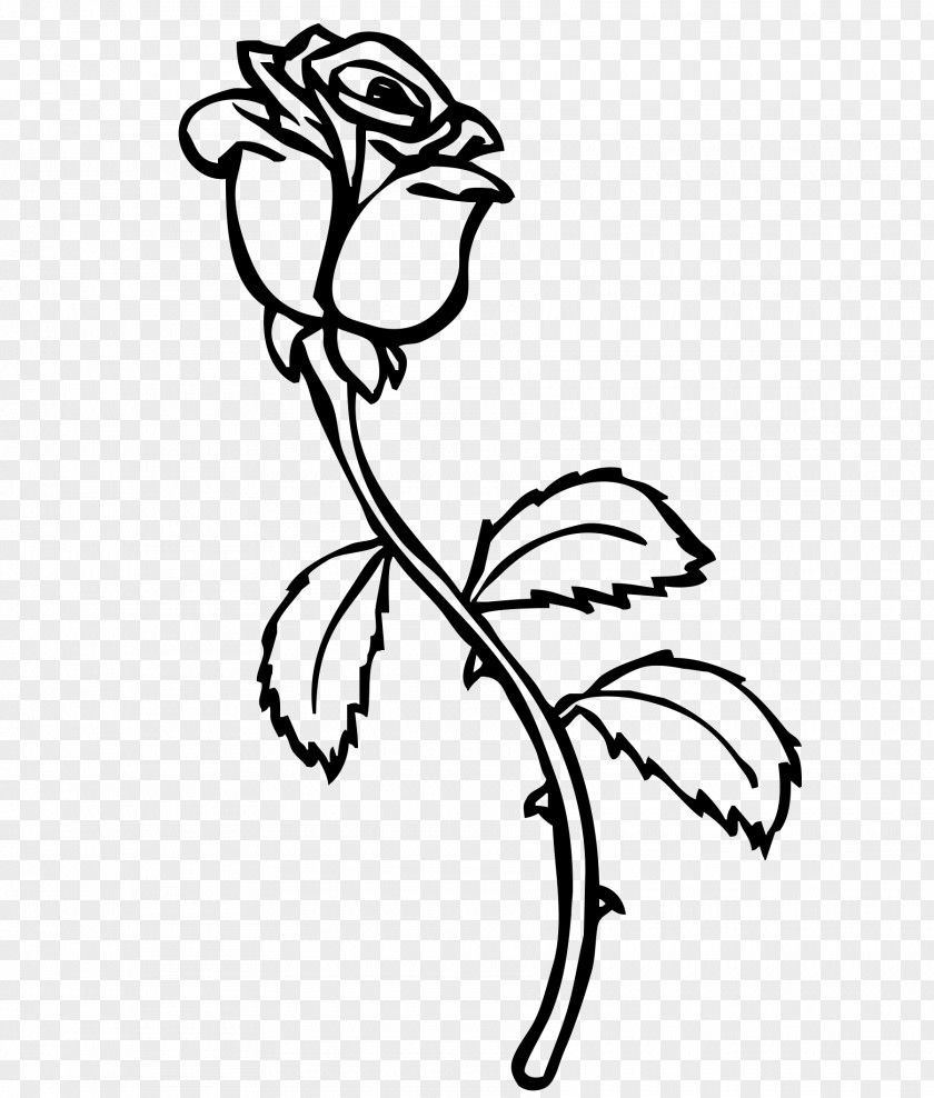 Rose Coloring Book Valentine's Day Adult Heart PNG