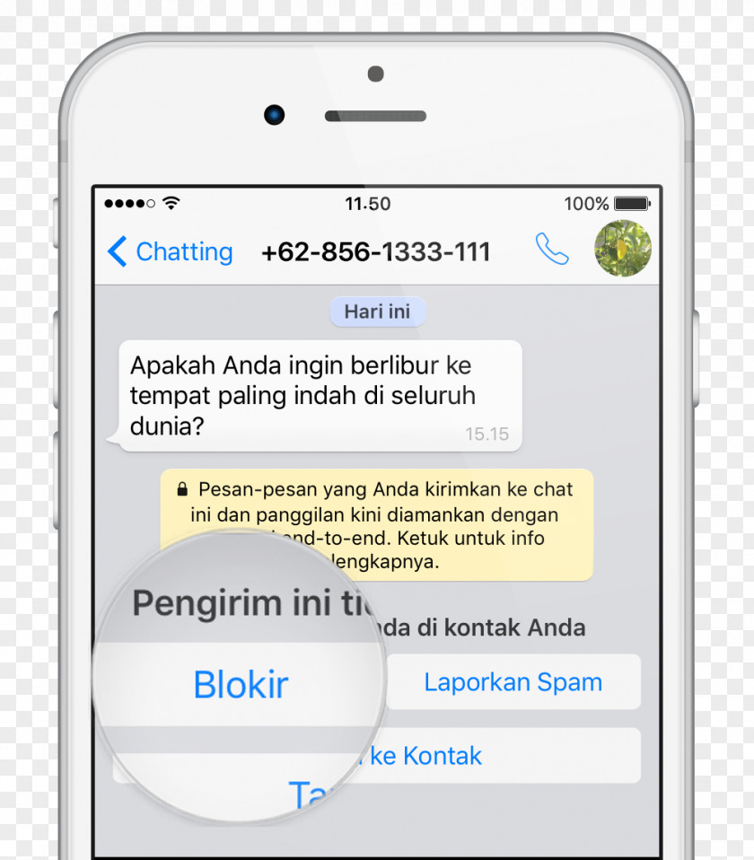 Whatsapp WhatsApp Web Page SMS User PNG