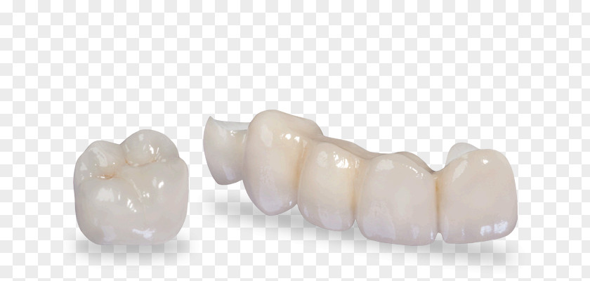 Crown Zirconium Dioxide Dentistry Tooth PNG