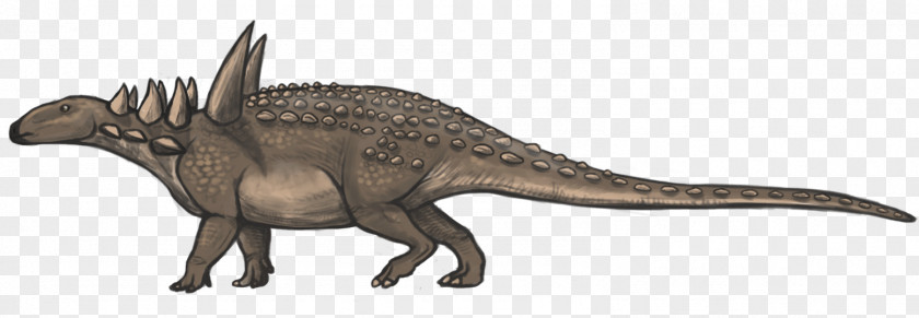 Dinosaur Sauropelta Silvisaurus Panoplosaurus Dacentrurus Pawpawsaurus PNG