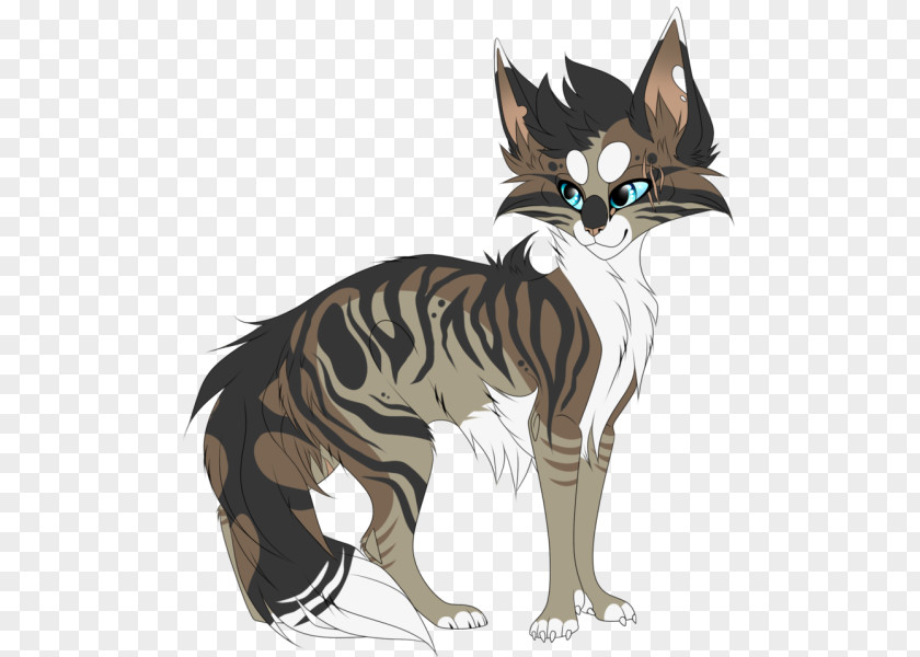 Cat Whiskers Wildcat Kitten Eye PNG