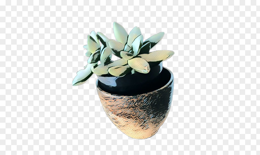 Ceramic Houseplant Flowerpot Flower Echeveria Plant Vase PNG