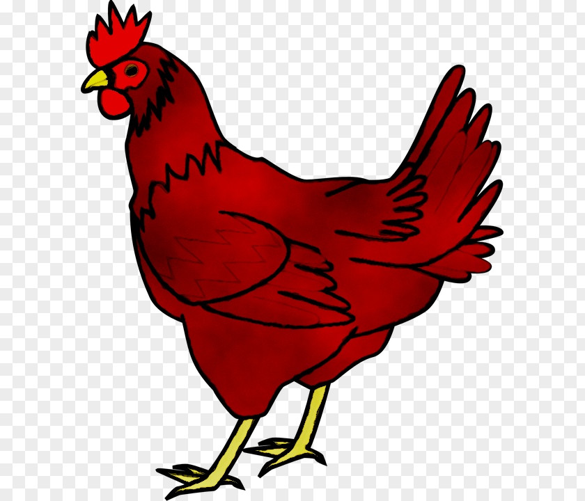 Chicken As Food Clip Art Silhouette PNG
