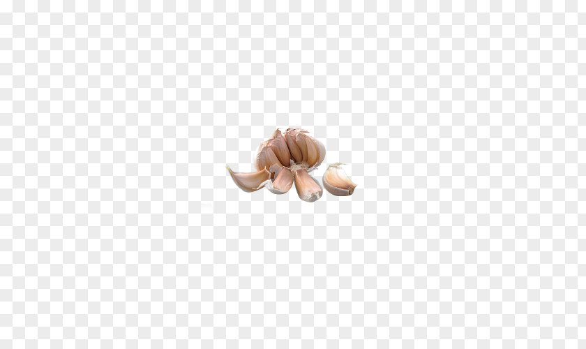 Garlic Kitchen Spice PNG