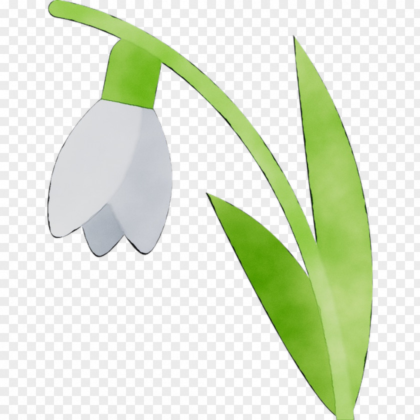 Leaf Product Design Flower PNG