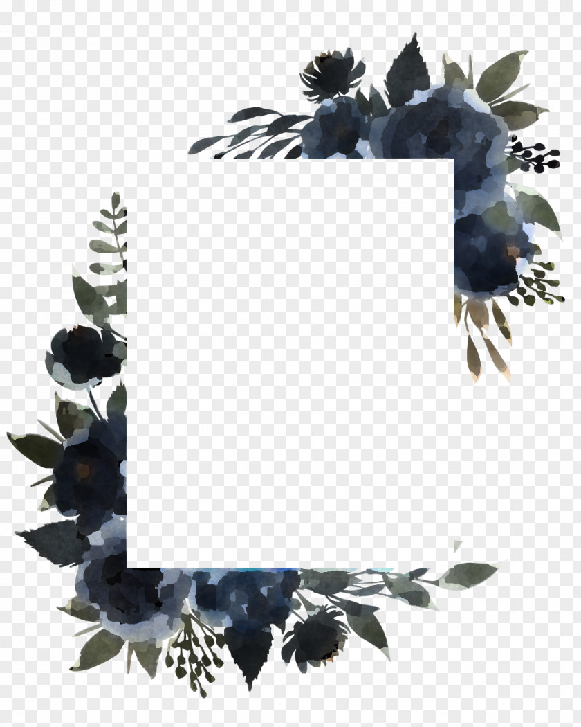 Picture Frame PNG