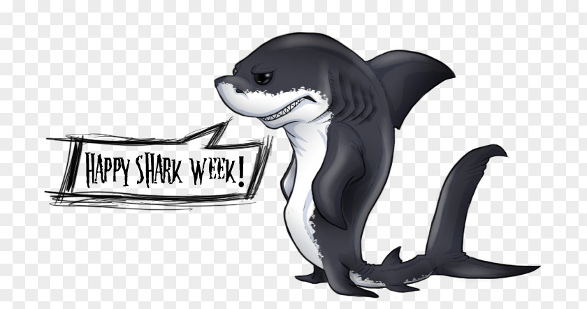 Shark Great White Drawing Megalodon PNG